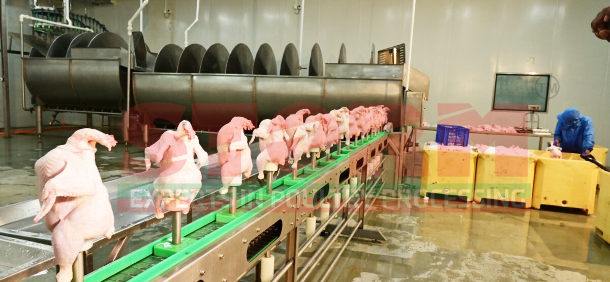 Cone Deboning Conveyor