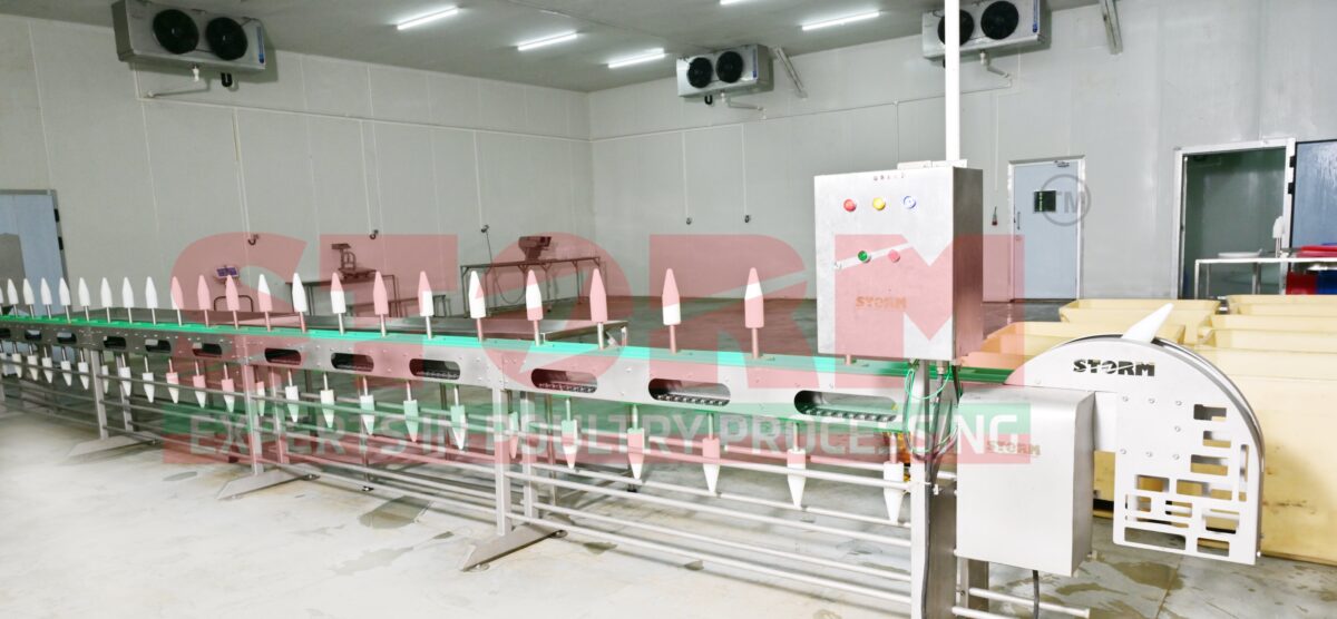 Cone Deboning Conveyor