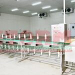 Cone Deboning Conveyor